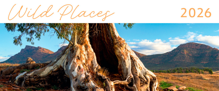 12 Nature Calendars That Bring the Wild to Your Wall