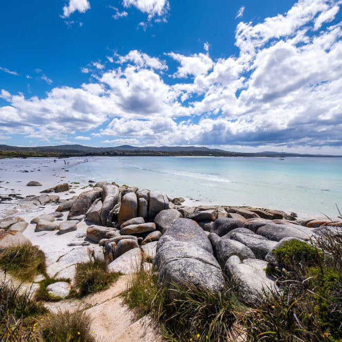 image of beachside with rocks