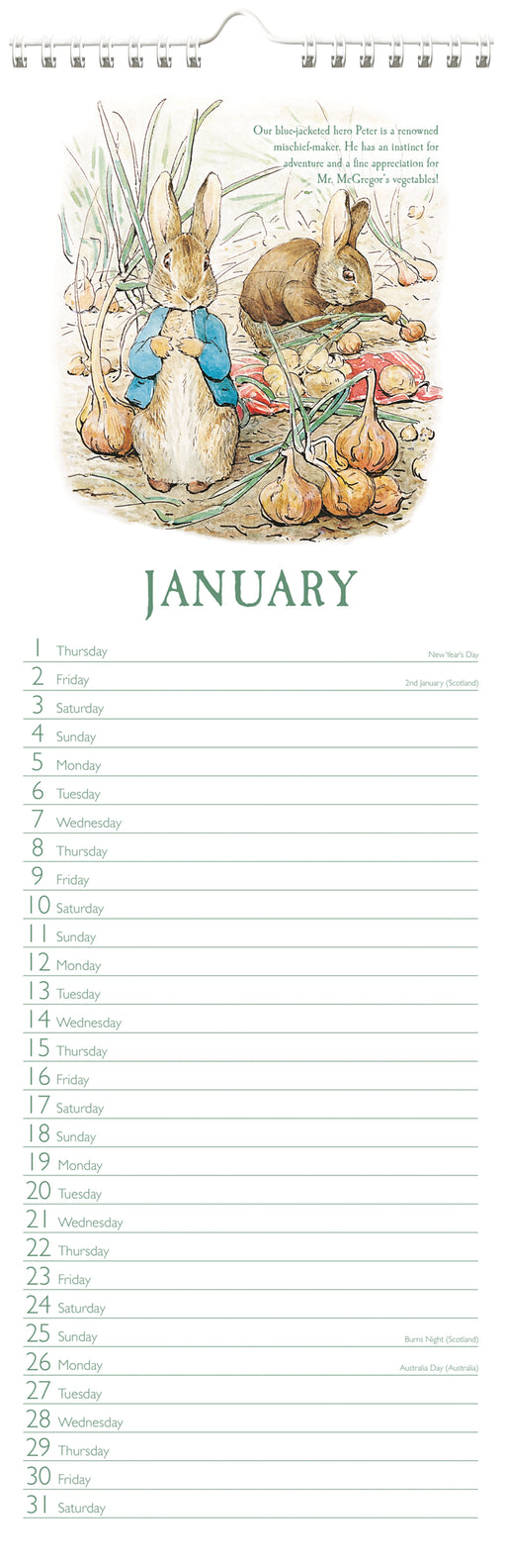 Peter Rabbit 2026 Slimline Wall Calendar