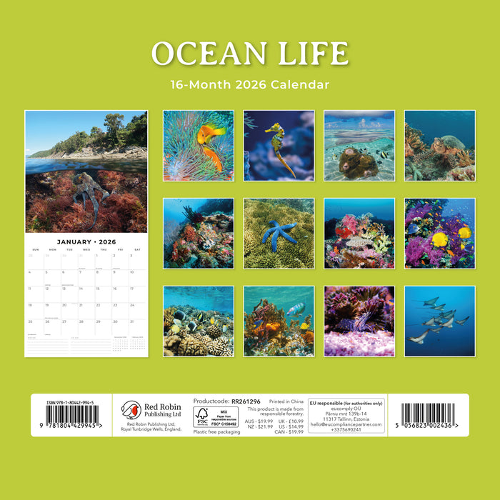 Ocean Life 2026 Square Wall Calendar