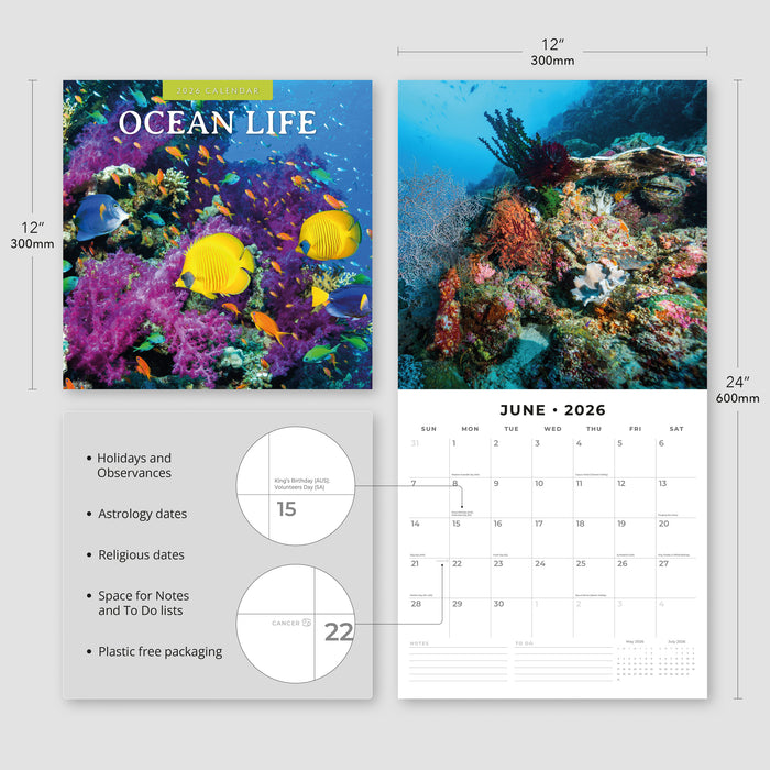 Ocean Life 2026 Square Wall Calendar