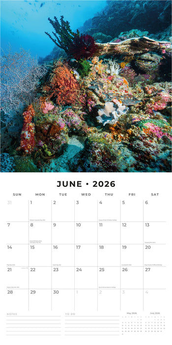 Ocean Life 2026 Square Wall Calendar