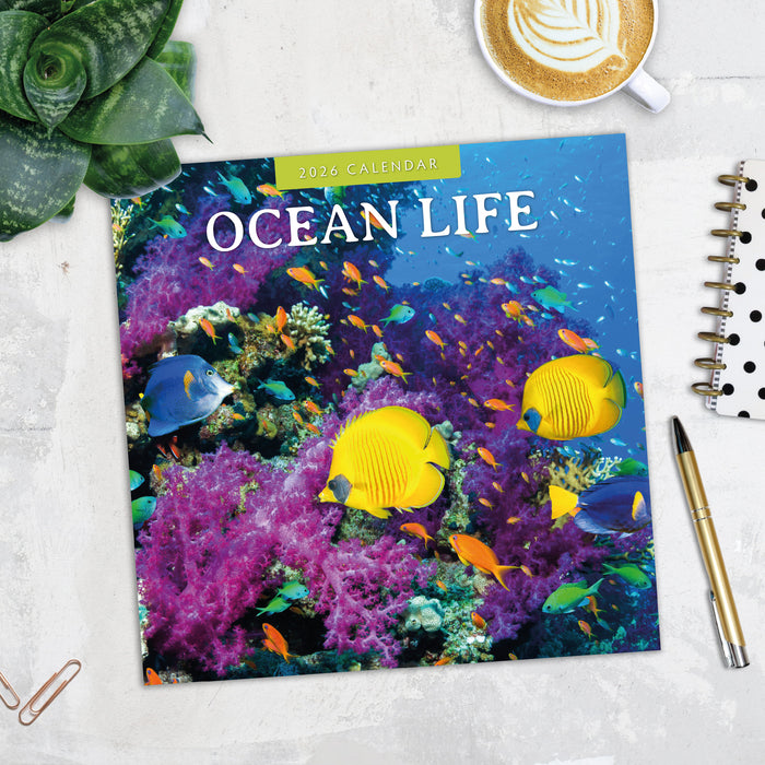 Ocean Life 2026 Square Wall Calendar