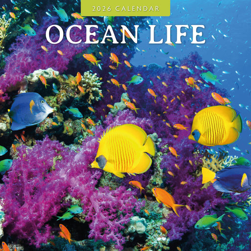 Ocean Life 2026 Square Wall Calendar