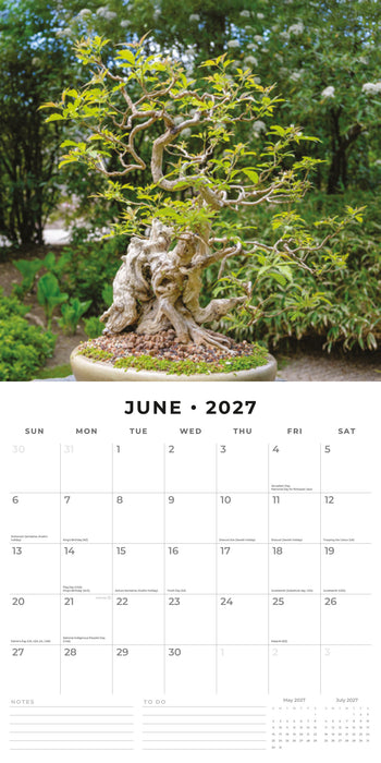 Bonsai 2027 Square Wall Calendar