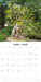 Bonsai 2027 Square Wall Calendar