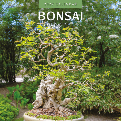 Bonsai 2027 Square Wall Calendar