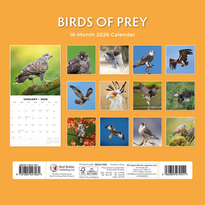 Birds of Prey 2026 Square Wall Calendar