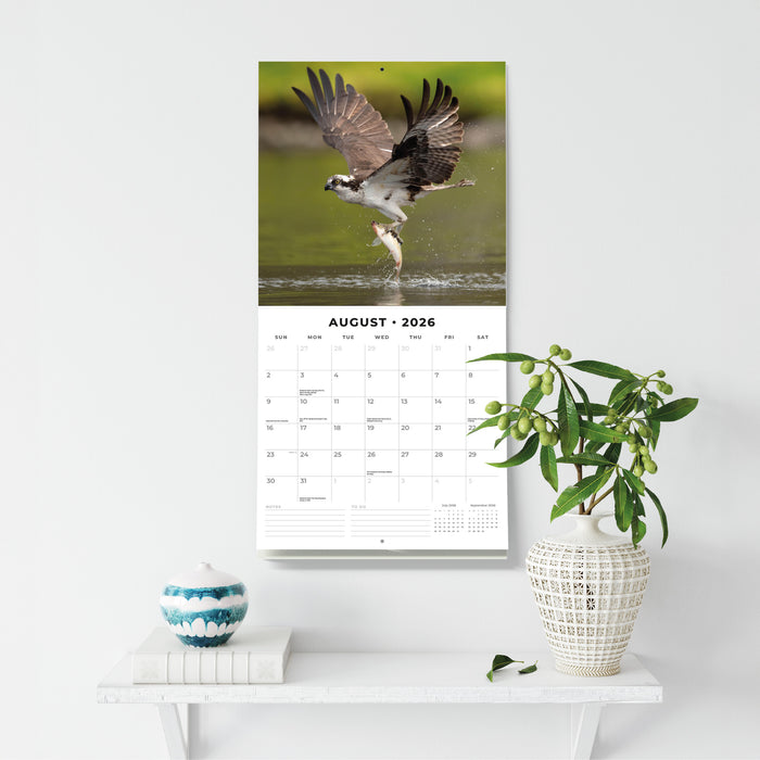 Birds of Prey 2026 Square Wall Calendar
