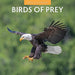 Birds of Prey 2026 Square Wall Calendar