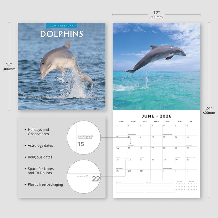 Dolphins 2026 Square Wall Calendar