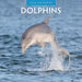 Dolphins 2026 Square Wall Calendar