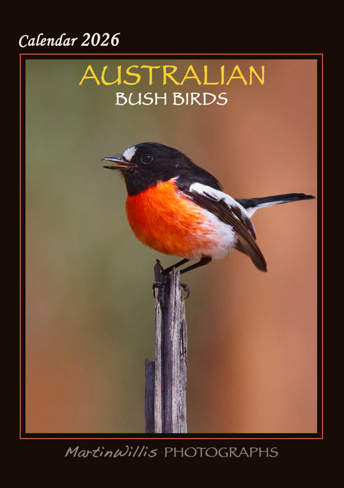 Australian Bush Birds 2026 A4 Wall Calendar
