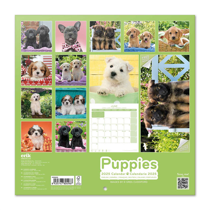 2025 Dogs Wall Calendar