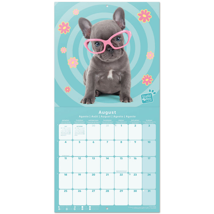 2025 Studio Pets Puppies Wall Calendar