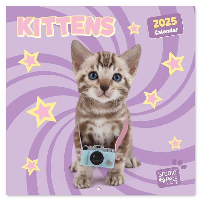 2025 Studio Pets Kittens Wall Calendar