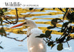 Wildlife of Aotearoa 2026 A4 Wall Calendar