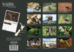 Wildlife of Aotearoa 2026 A4 Wall Calendar