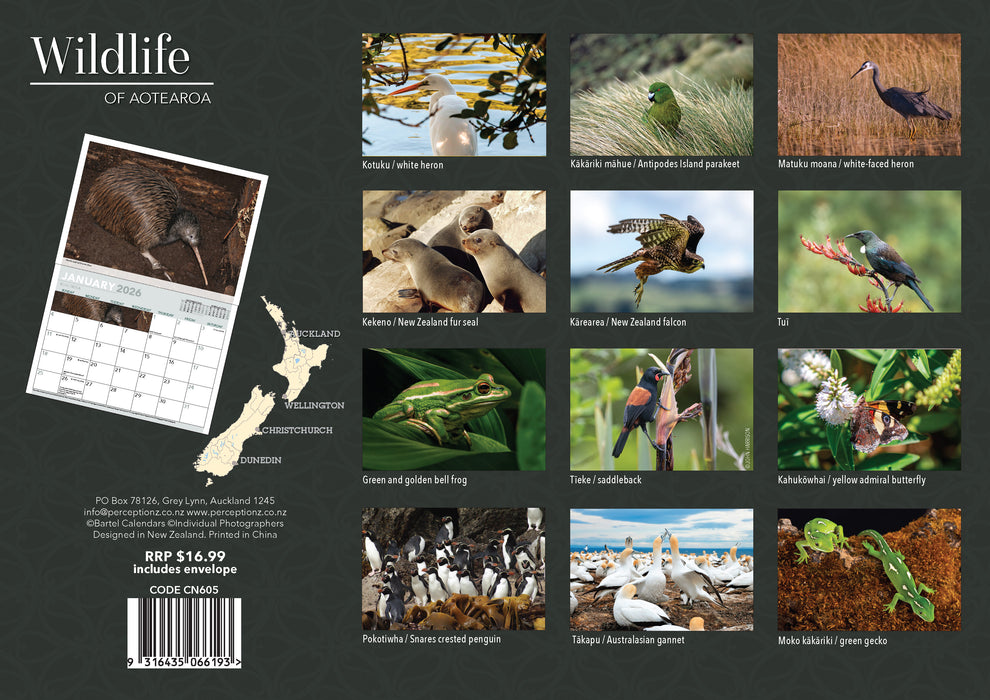 Wildlife of Aotearoa 2026 A4 Wall Calendar