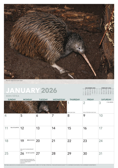 Wildlife of Aotearoa 2026 A4 Wall Calendar