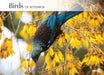 Birds of Aotearoa 2026 A4 Wall Calendar