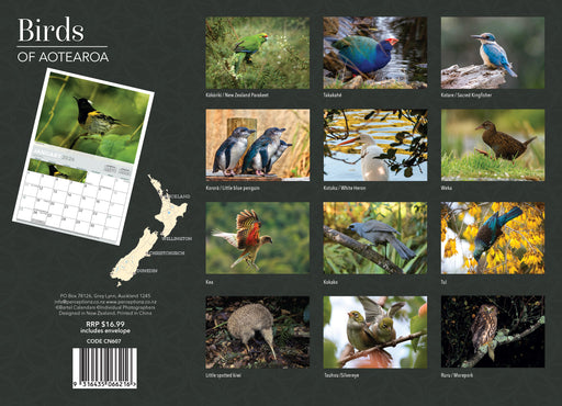 Birds of Aotearoa 2026 A4 Wall Calendar