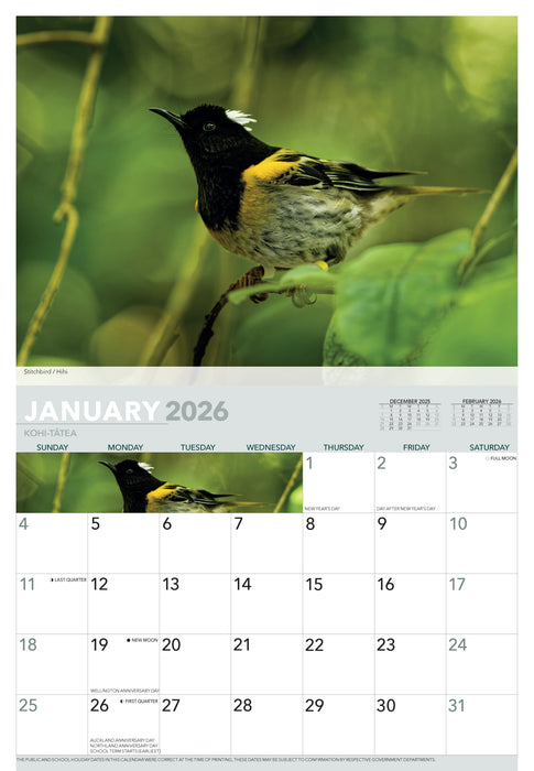 Birds of Aotearoa 2026 A4 Wall Calendar