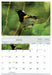 Birds of Aotearoa 2026 A4 Wall Calendar