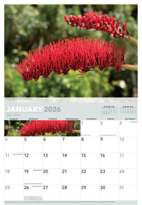 Wildflowers of New Zealand 2026 A4 Wall Calendar