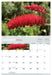 Wildflowers of New Zealand 2026 A4 Wall Calendar