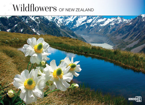 Wildflowers of New Zealand 2026 A4 Wall Calendar