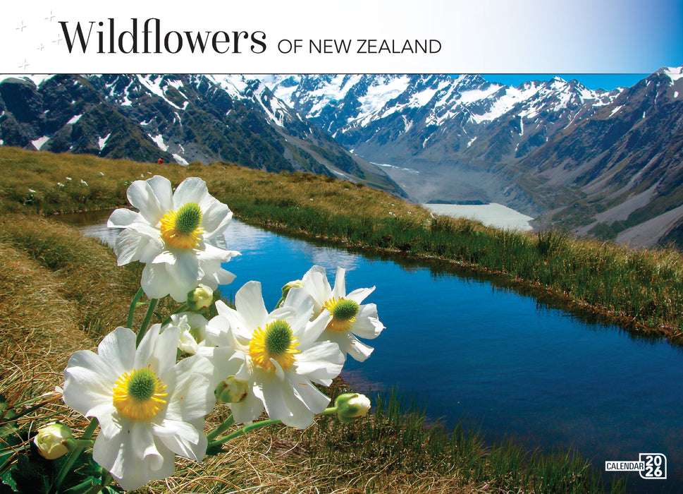 Wildflowers of New Zealand 2026 A4 Wall Calendar