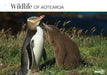 Wildlife of Aotearoa 2027 A4 Wall Calendar
