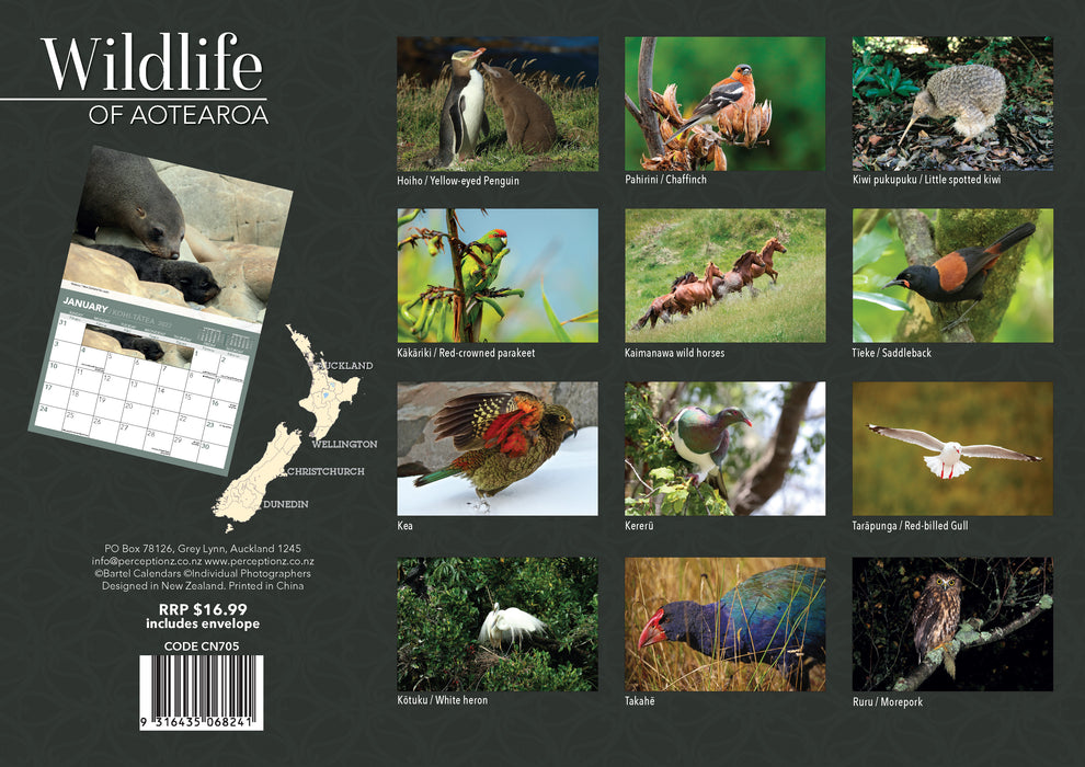 Wildlife of Aotearoa 2027 A4 Wall Calendar