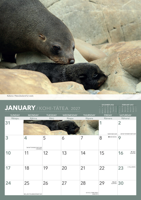 Wildlife of Aotearoa 2027 A4 Wall Calendar
