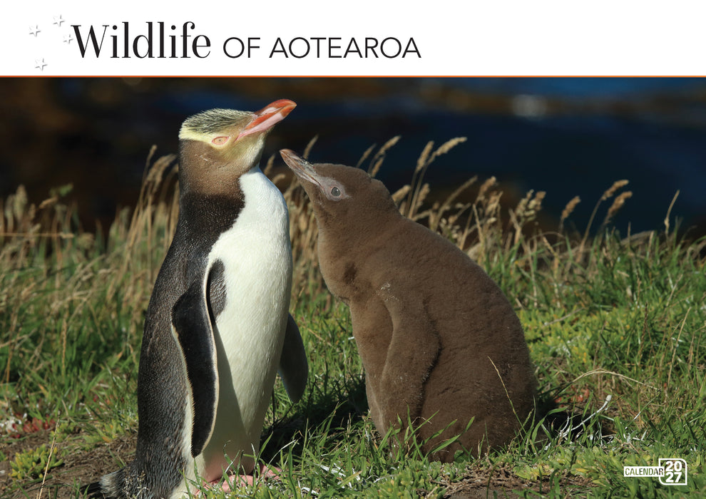 Wildlife of Aotearoa 2027 A4 Wall Calendar