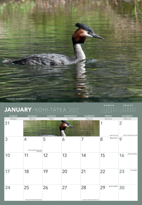 Birds of Aotearoa 2027 Wall Calendar