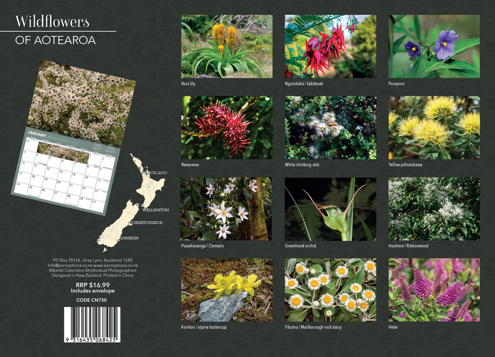 Wildflowers of New Zealand 2027 Wall Calendar