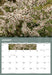 Wildflowers of New Zealand 2027 Wall Calendar