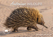 Australian Wildlife 2026 A4 Wall Calendar