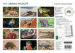 Australian Wildlife 2026 A4 Wall Calendar