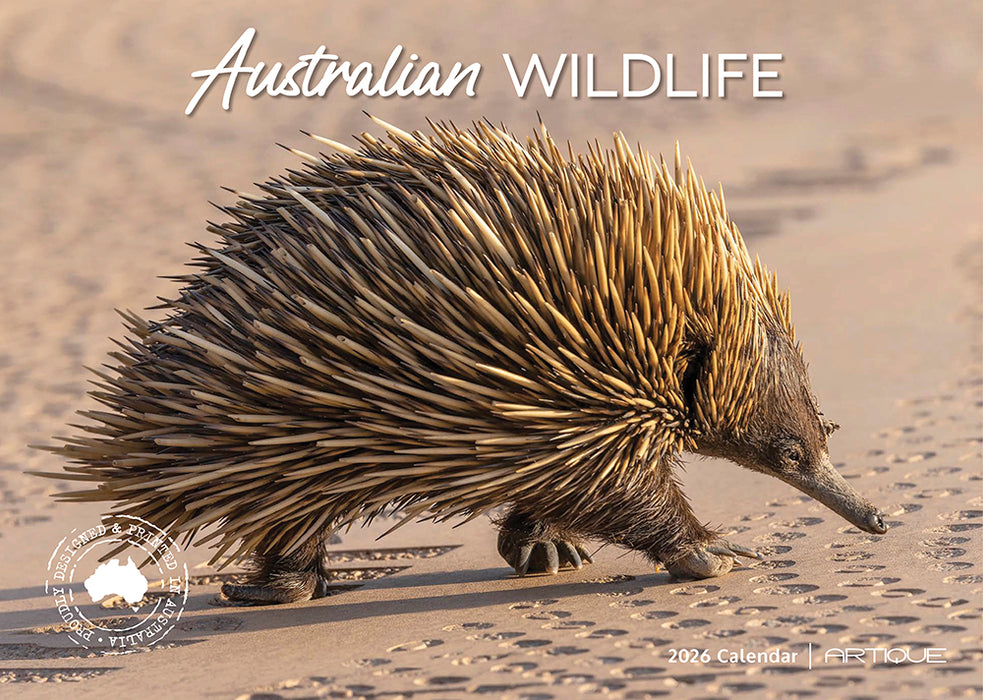 Australian Wildlife 2026 A4 Wall Calendar