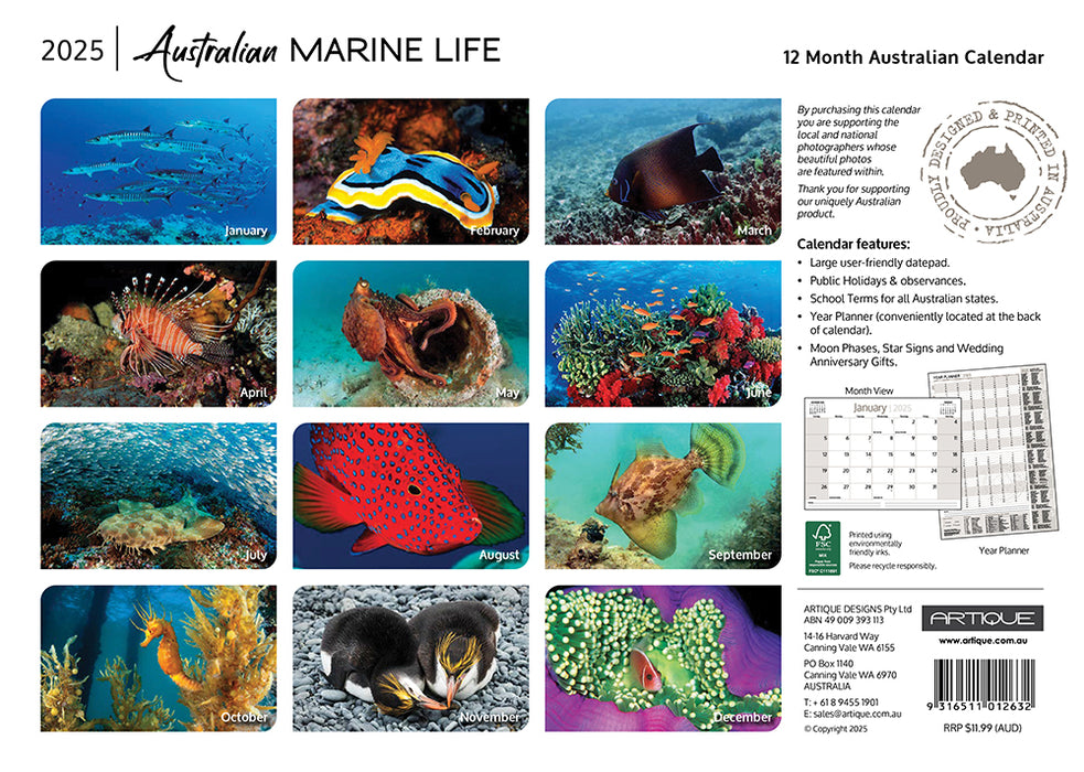 2025 Australian Marine Life Wall Calendar