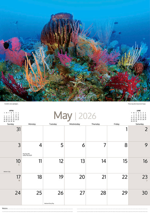 Australian Marine Life 2026 A4 Wall Calendar