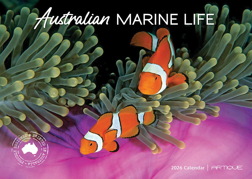 Australian Marine Life 2026 A4 Wall Calendar