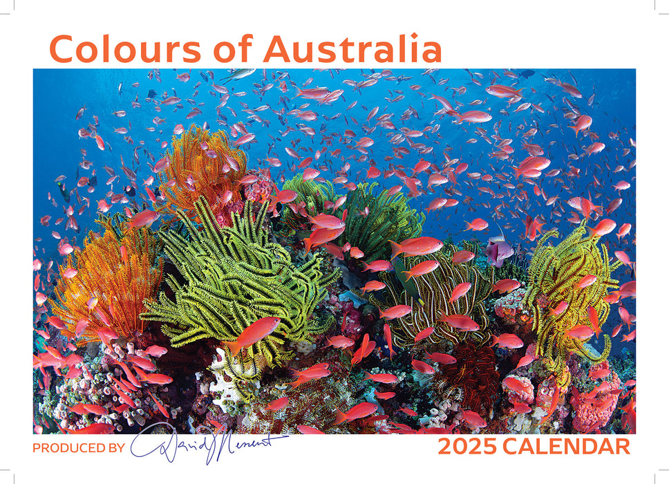 2025 Colours of Australia Wall Calendar