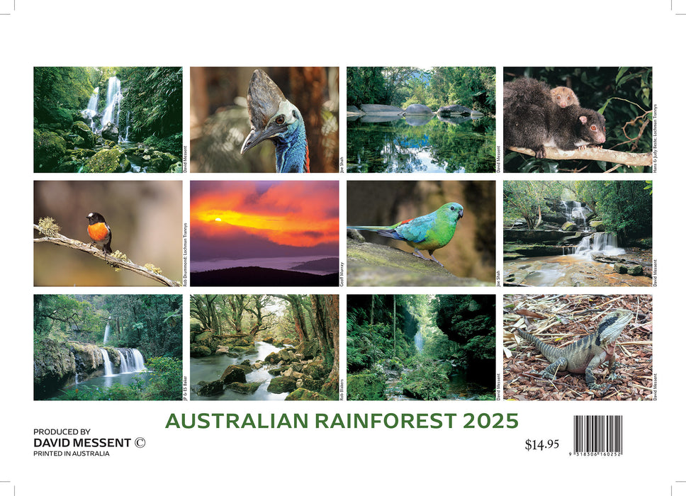 2025 Australian Rainforest Wall Calendar