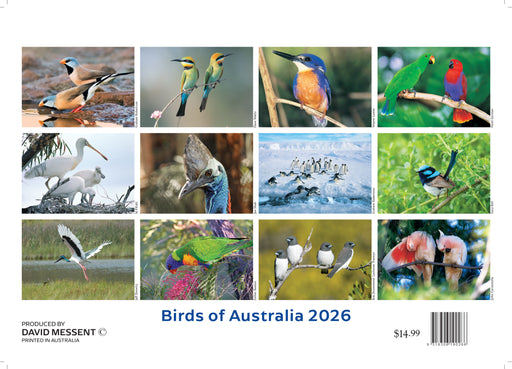 Birds of Australia 2026 A4 Wall Calendar