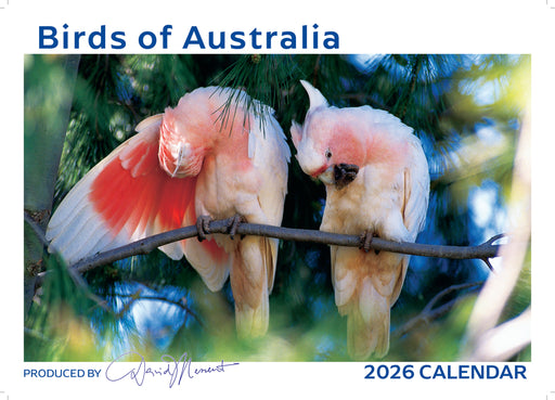 Birds of Australia 2026 A4 Wall Calendar