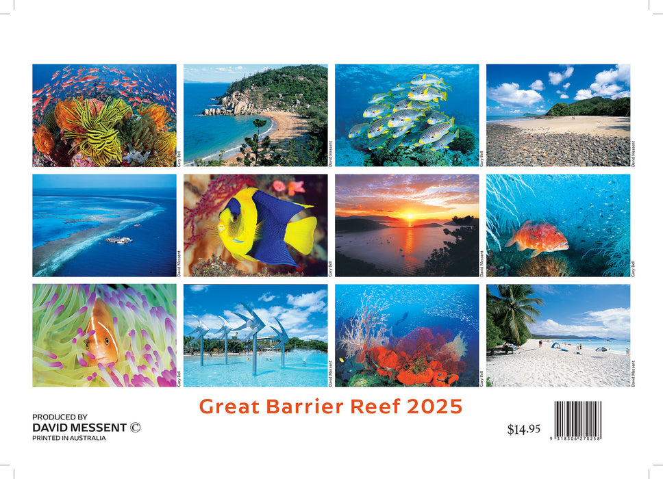 2025 Great Barrier Reef Wall Calendar